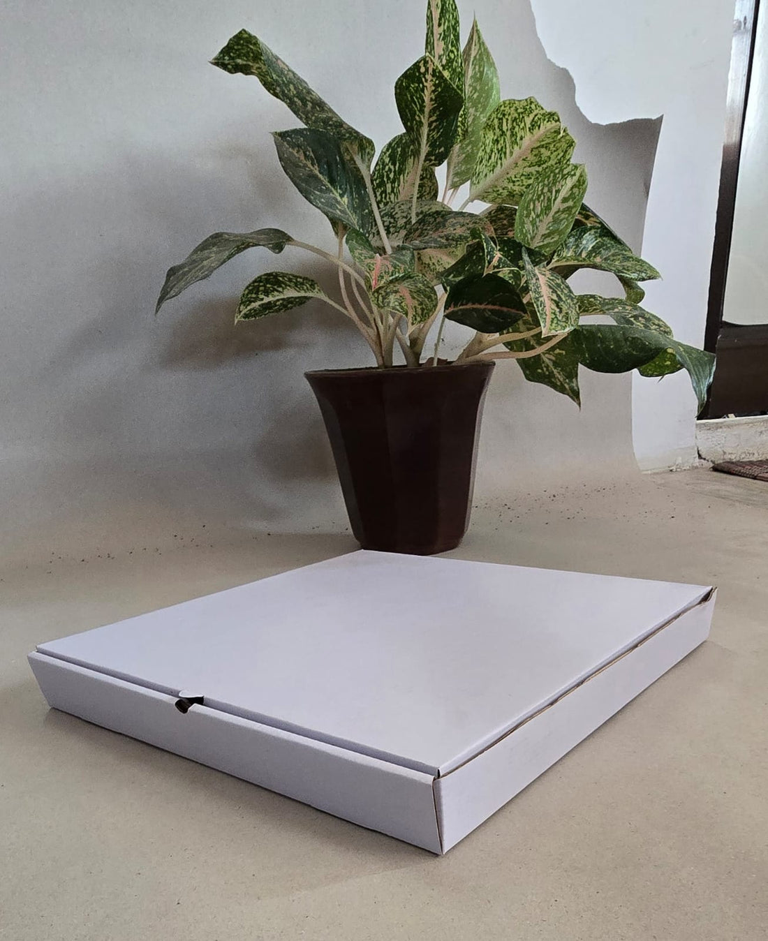 Pizza Box 10 Inch [ 10 x 10 x 1.5 Inch ]